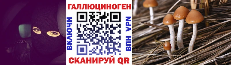 Галлюциногенные грибы мухоморы Светлогорск